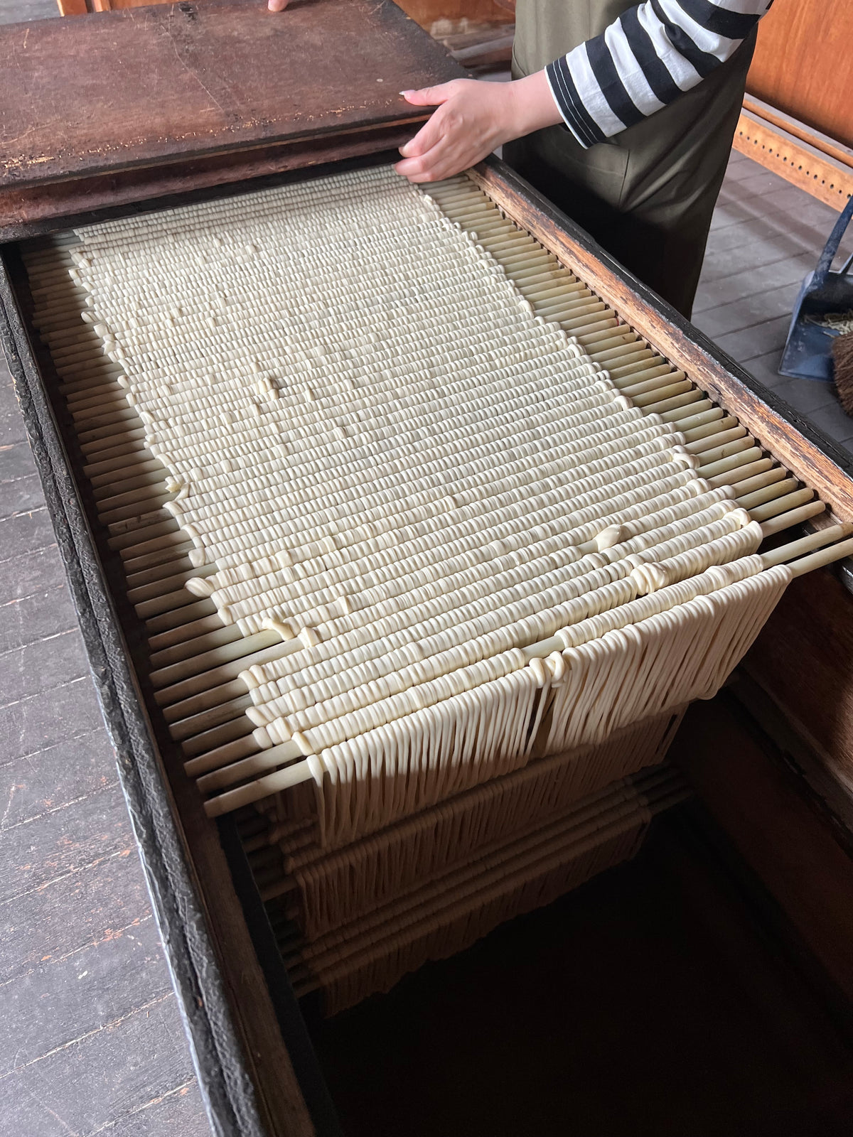 Hand-stretched Japanese Somen noodle
