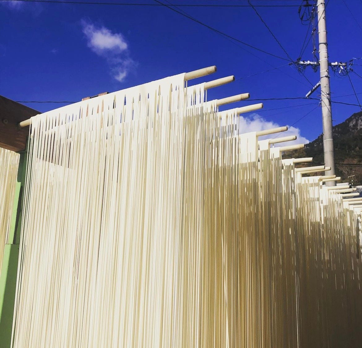 Hand-stretched Japanese Somen noodle